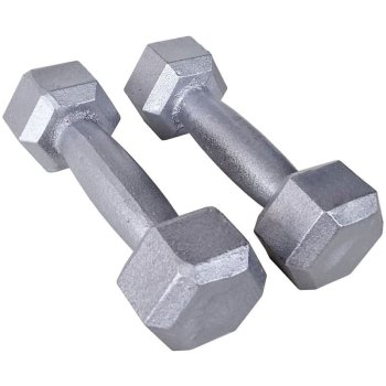 Dynamic Dambıl 850g Demir Döküm Metalik Gri x2