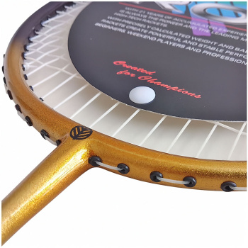 Rox Pro Control 800 Grafit Badminton Raketi