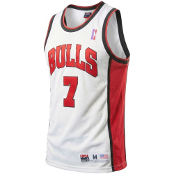 USA Basketbol Forması Chicago Bulls B.Gordon sz M